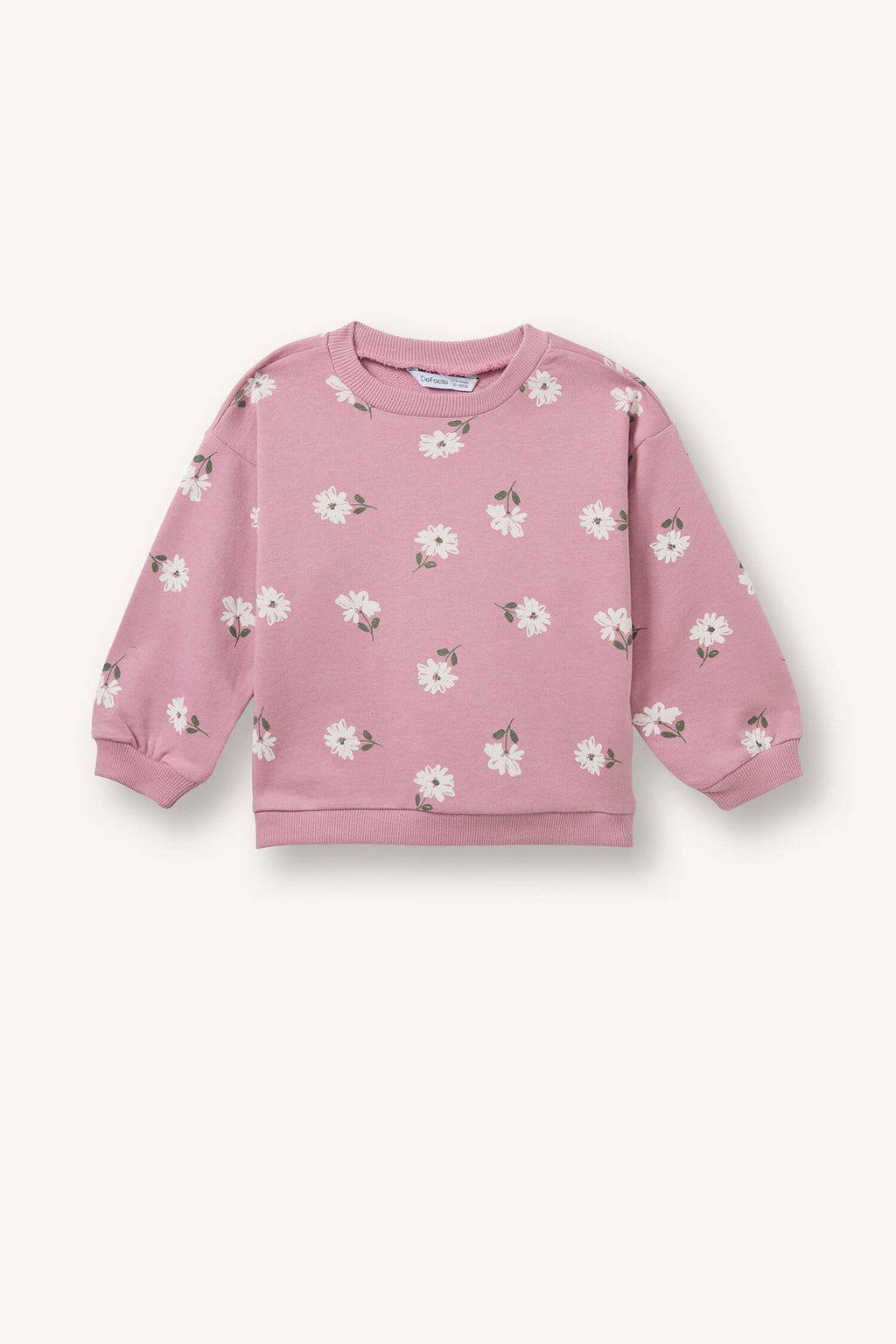 Regular Fit Crew Neck Floral Sweatshirt Baby Girl