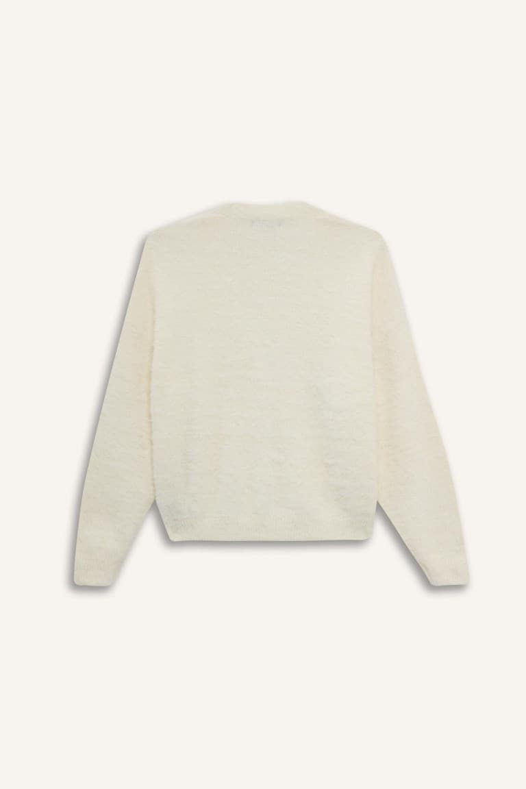 Regular Fit V-Neck Knitwear Cardigan