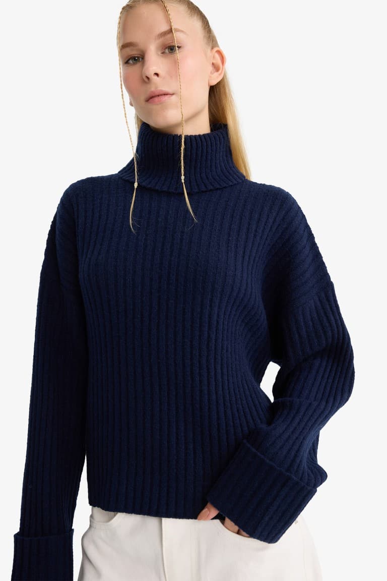 Oversize Fit Turtleneck Pullover Main image