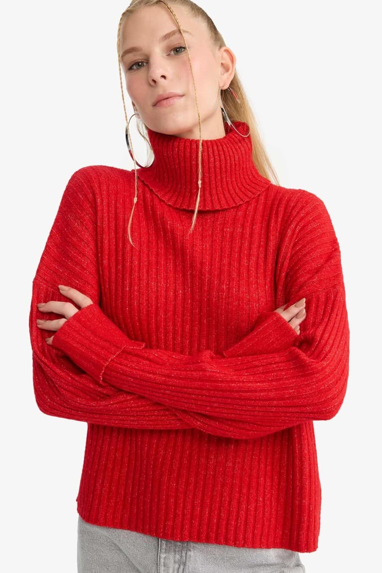 Oversize Fit Turtleneck Pullover Main image