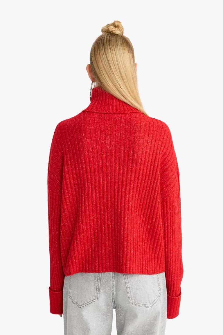 Oversize Fit Turtleneck Pullover