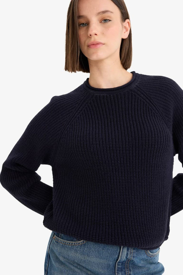 Regular Fit Crew Neck Knitwear Sweater