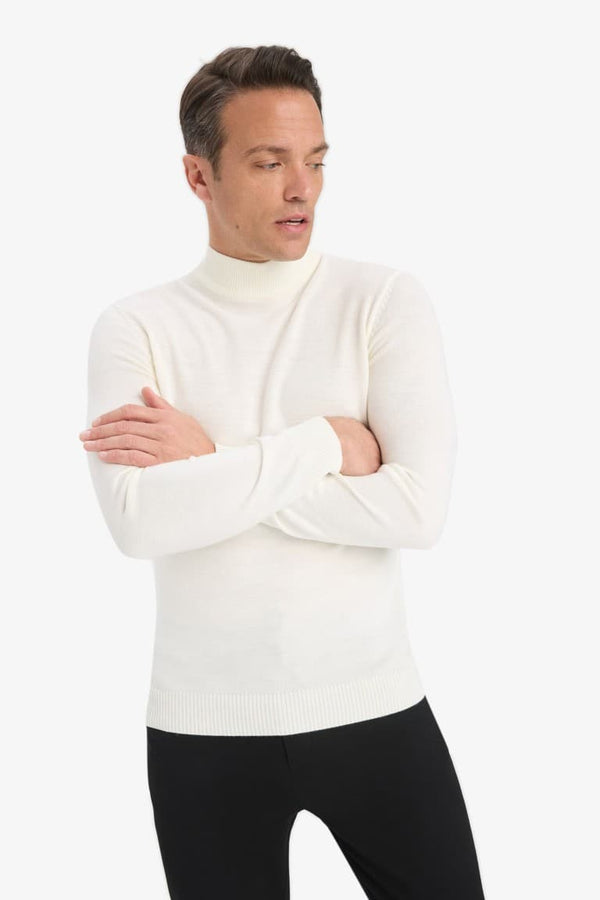 Slim Fit Slim Cut Turtleneck Basic Plain Knitwear Sweater