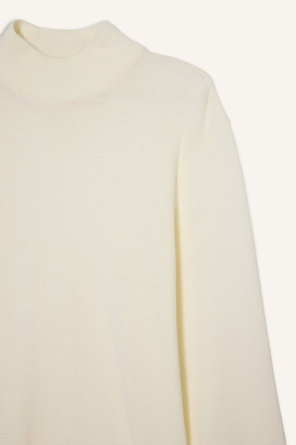 Slim Fit Slim Cut Turtleneck Basic Plain Knitwear Sweater