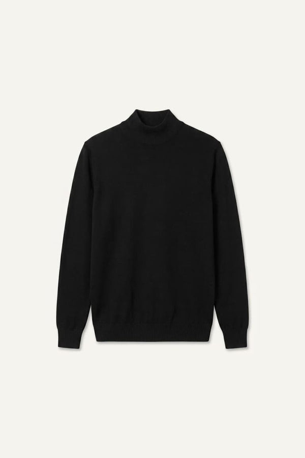 Slim Fit Slim Cut Turtleneck Basic Plain Knitwear Sweater