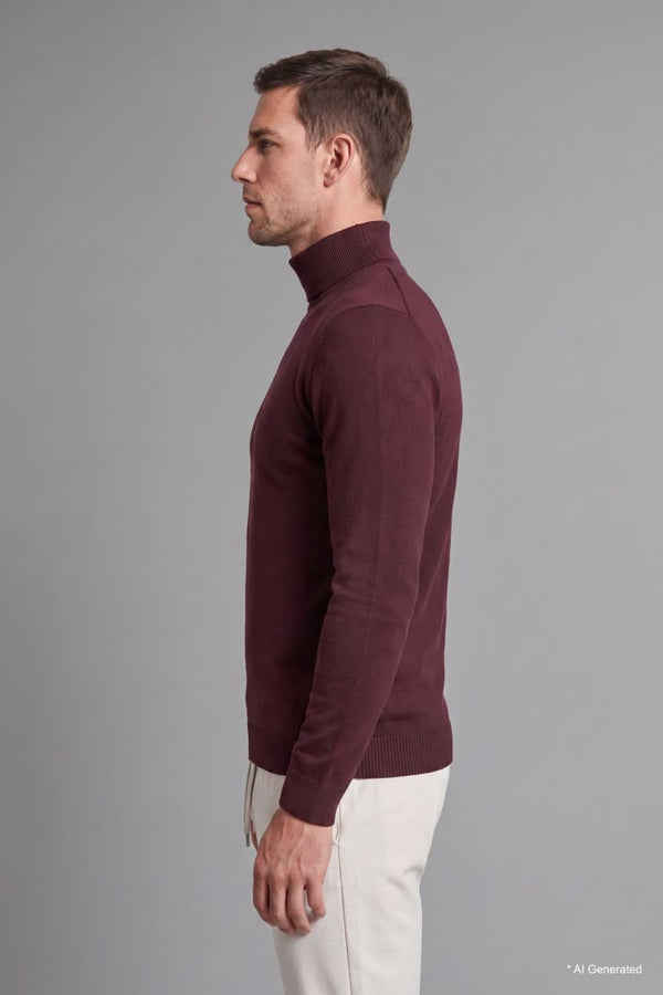 Slim Fit Slim Cut Turtleneck Basic Plain Knitwear Sweater