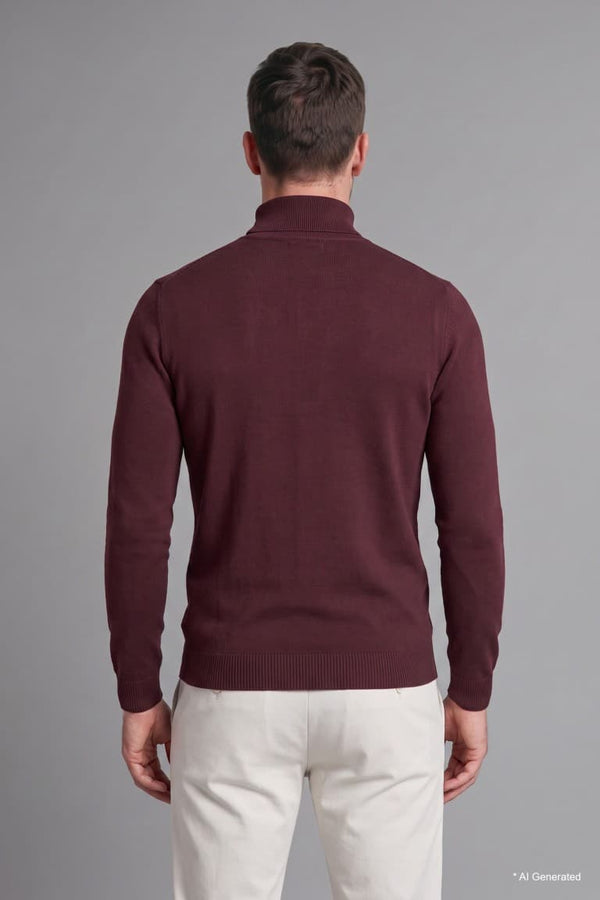 Slim Fit Slim Cut Turtleneck Basic Plain Knitwear Sweater