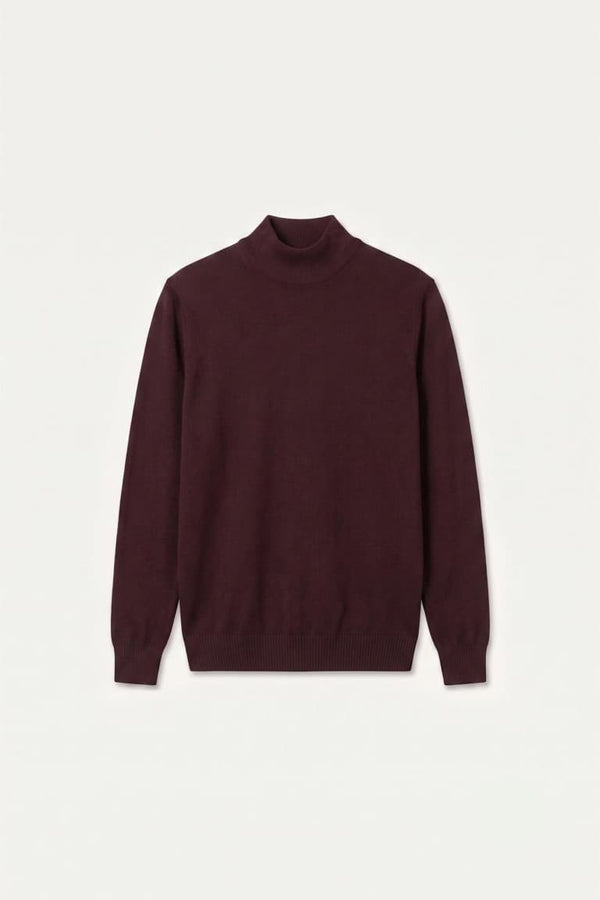 Slim Fit Slim Cut Turtleneck Basic Plain Knitwear Sweater