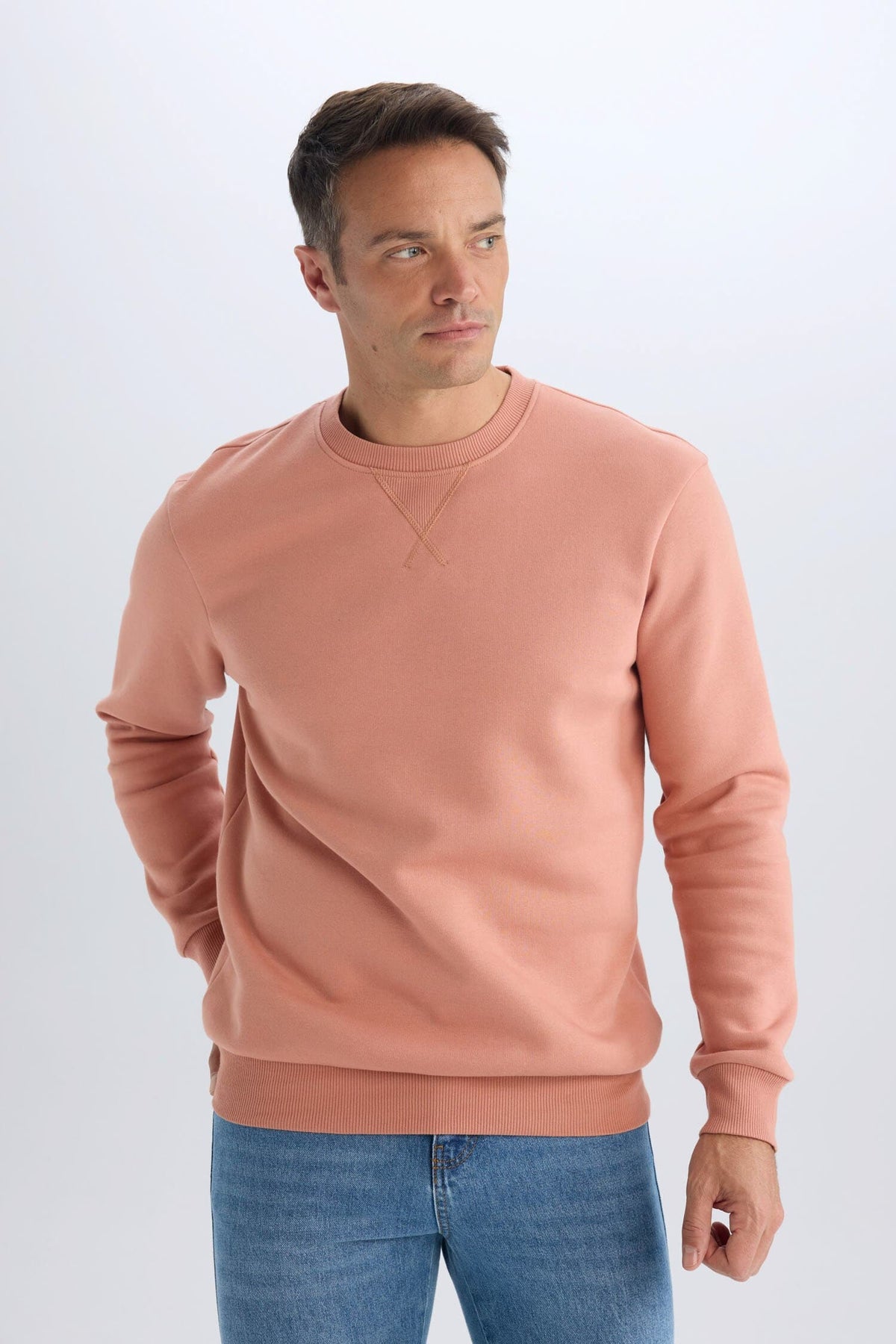 Regular Fit Crew Neck Thick Basic Plain Sweatshirt Main image