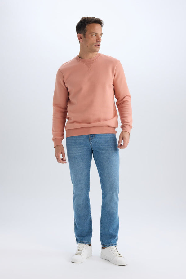 Regular Fit Crew Neck Thick Basic Plain Sweatshirt