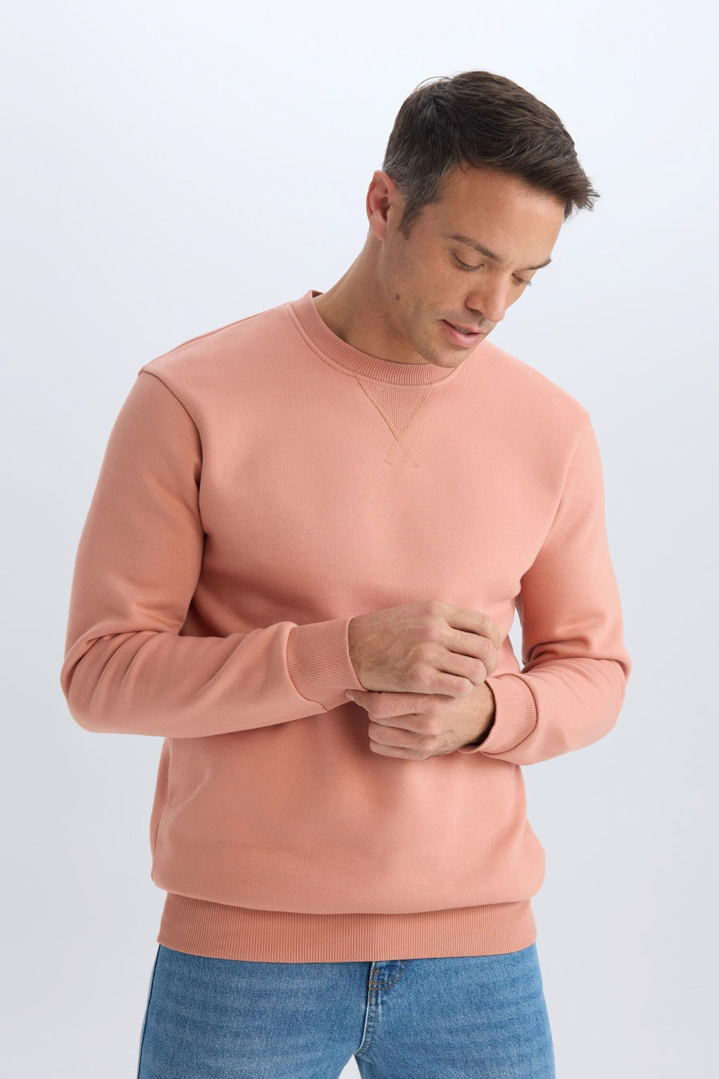 Regular Fit Crew Neck Thick Basic Plain Sweatshirt