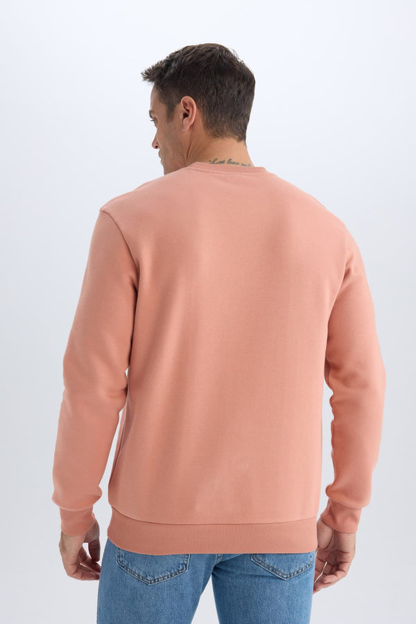 Regular Fit Crew Neck Thick Basic Plain Sweatshirt
