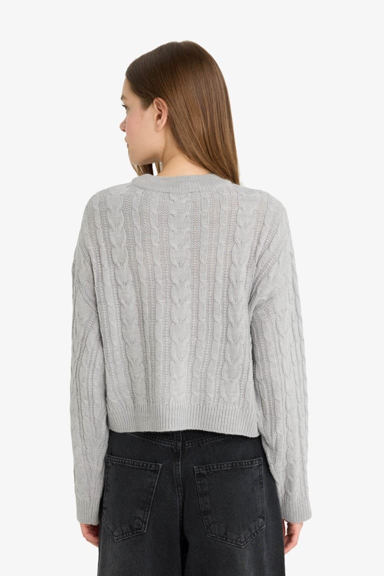 Cool Regular Fit Crew Neck Knit Sweater