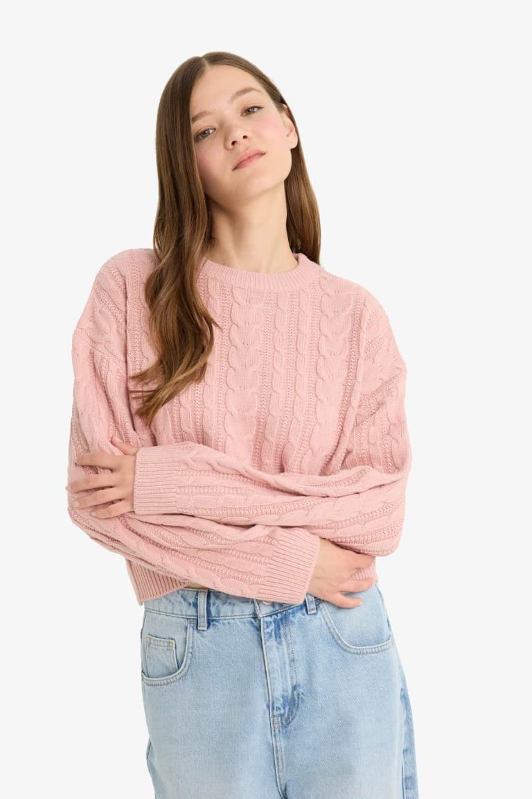 Cool Regular Fit Crew Neck Knit Sweater