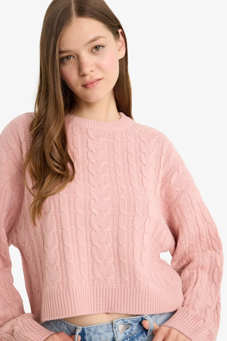 Cool Regular Fit Crew Neck Knit Sweater