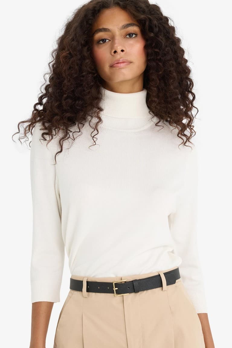 Regular Fit Turtleneck Half Sleeve Basic Plain Knitwear Sweater Main image