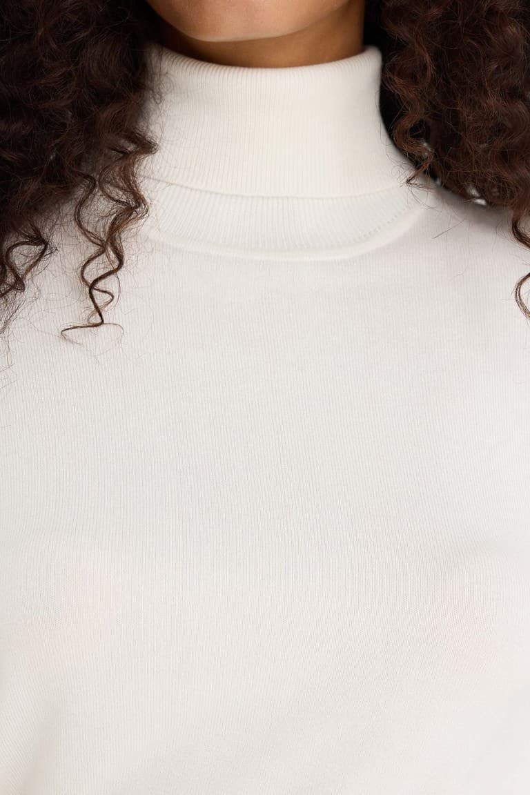 Regular Fit Turtleneck Half Sleeve Basic Plain Knitwear Sweater
