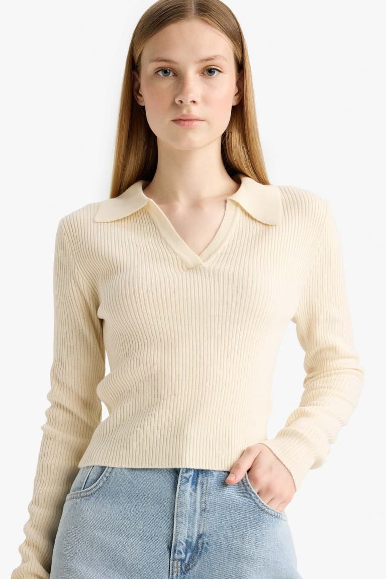 Slim Fit Narrow Cut Polo Collar Knit Sweater Main image