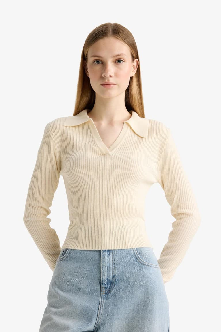 Slim Fit Narrow Cut Polo Collar Knit Sweater