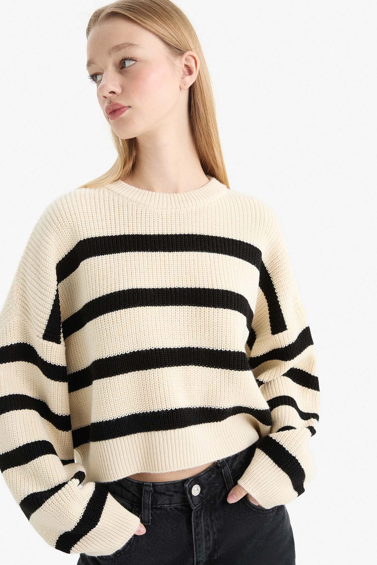 Oversize Wide Pattern Crew Neck Striped Knitwear Sweater Main image