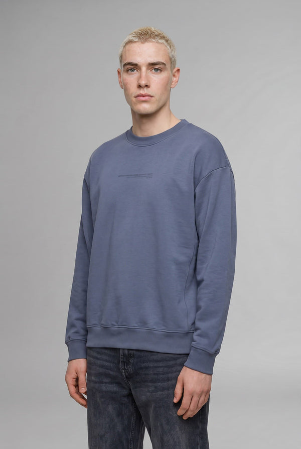 Boxy Fit Crew Neck Soft Furry Printed Sweatshirt