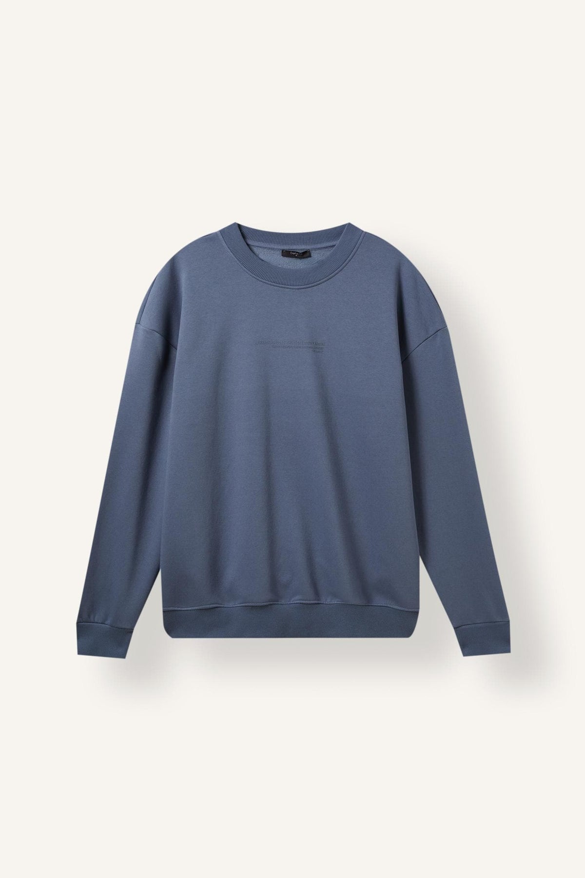 Boxy Fit Crew Neck Soft Furry Printed Sweatshirt