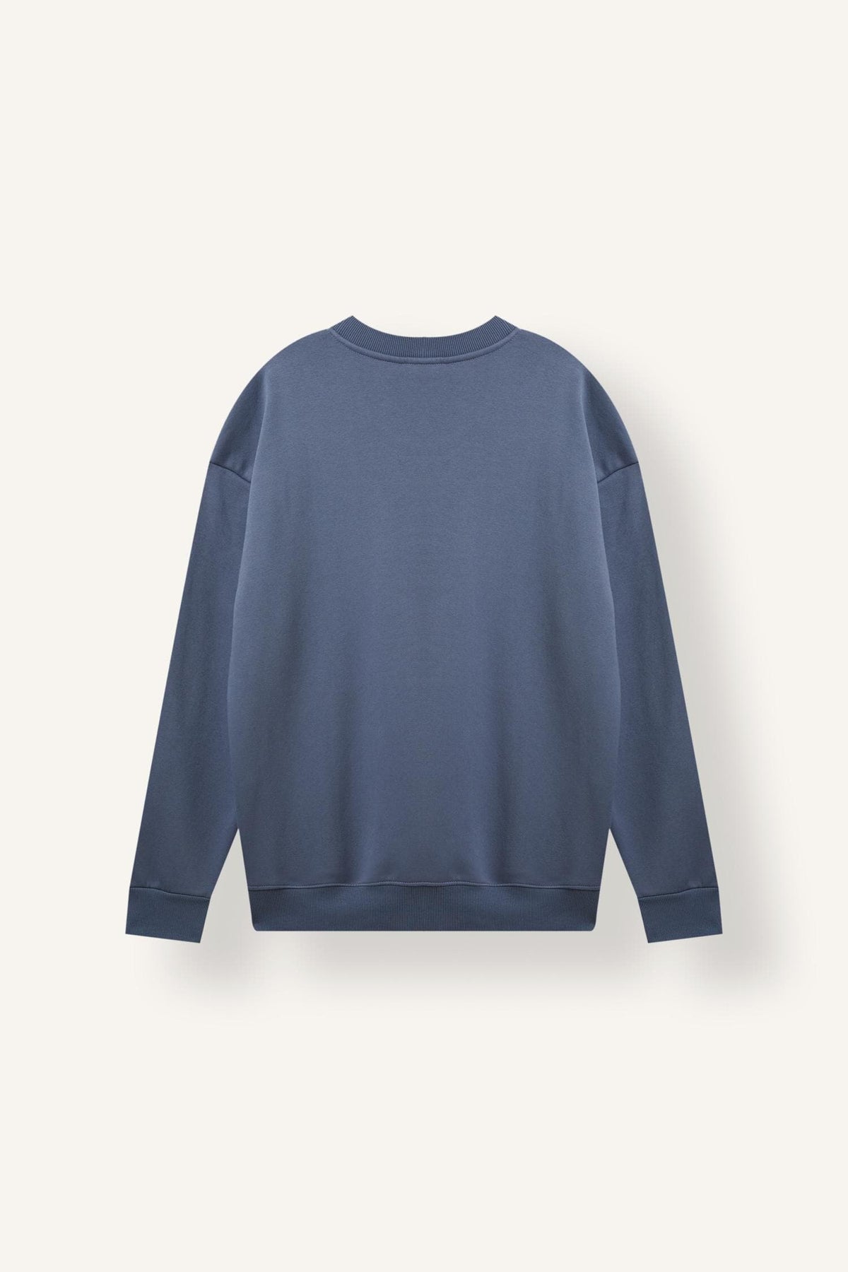 Boxy Fit Crew Neck Soft Furry Printed Sweatshirt