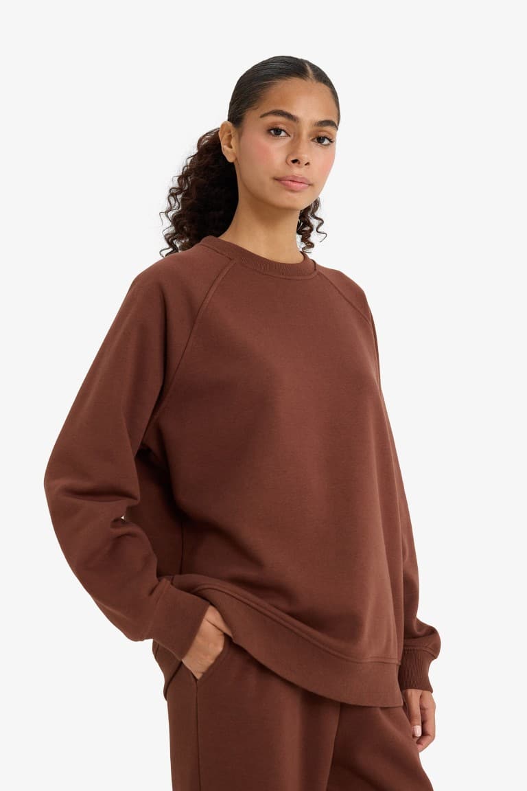Oversized, loose fit, crew neck, basic, simple thick sweatshirt