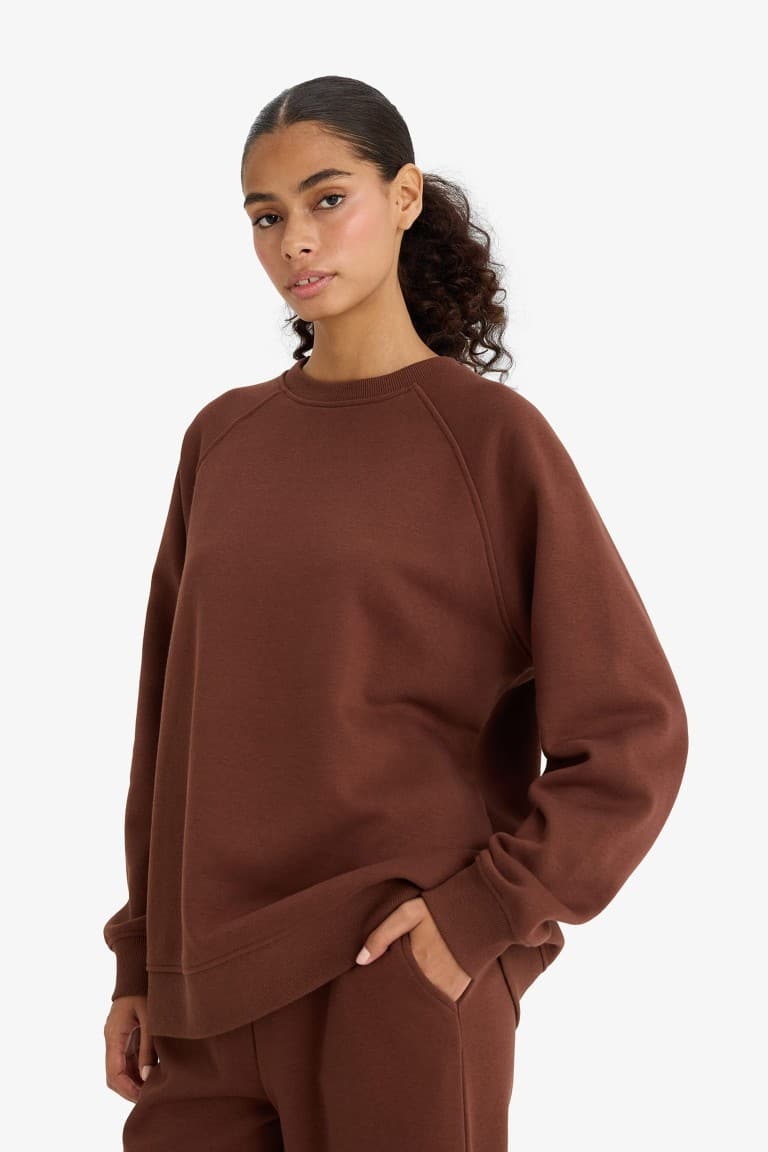 Oversized, loose fit, crew neck, basic, simple thick sweatshirt
