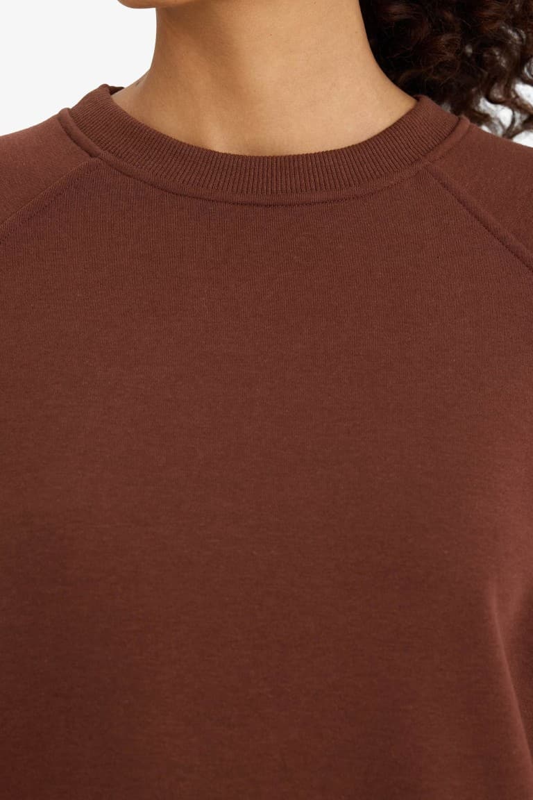 Oversized, loose fit, crew neck, basic, simple thick sweatshirt